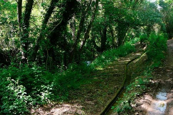 Casa Amigo Διαμέρισμα Castano de Robledo Εξωτερικό φωτογραφία